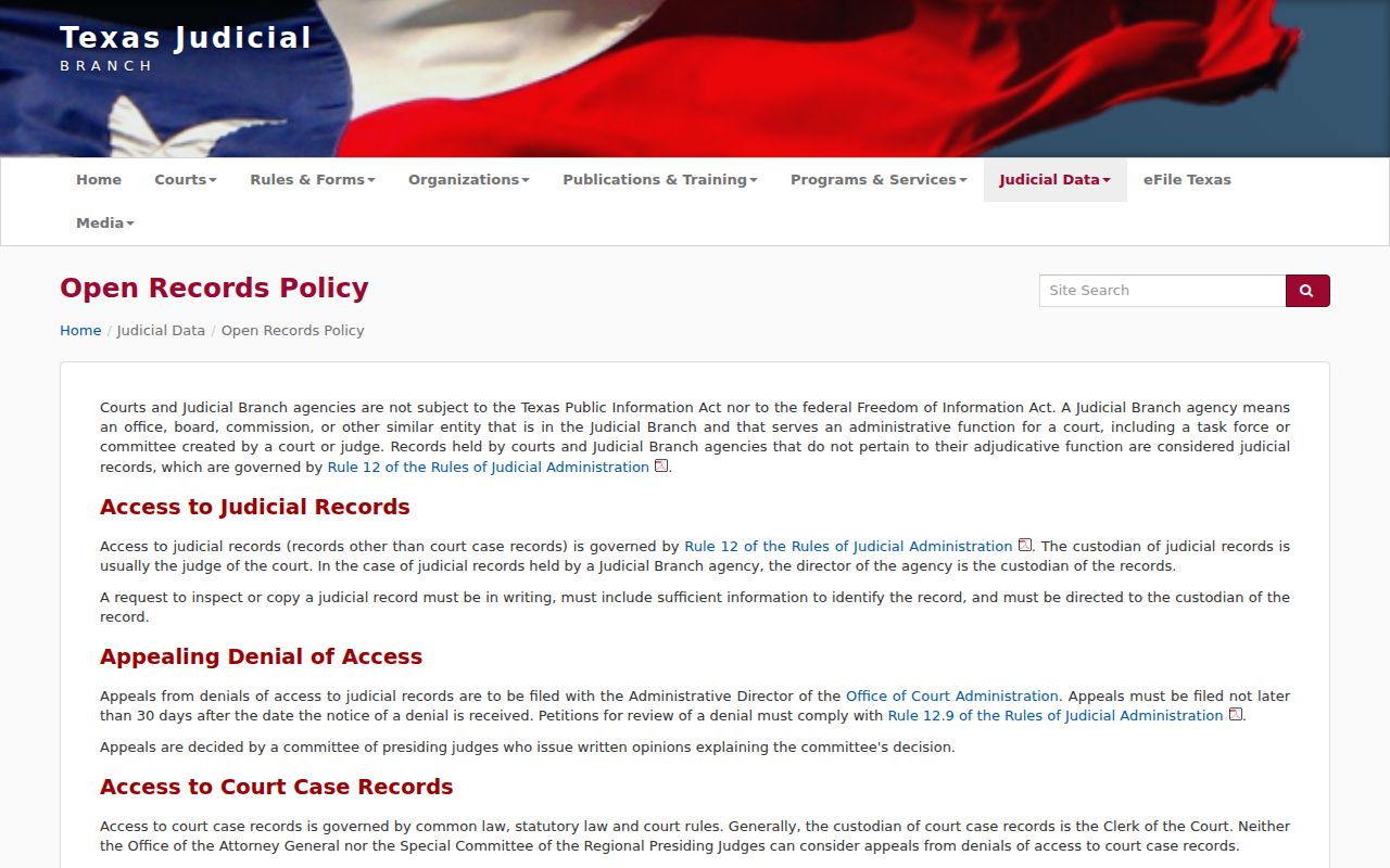 Frio County court records Texas judicial access policy